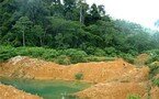Il faut sauver la forêt amazonienne.